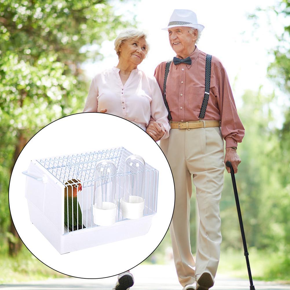 Out of the bird cage - Image 2